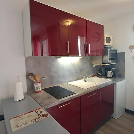 Avec Animaux Admis - 3 Pers. - Fr-1-516-228 * Ле дез Альп